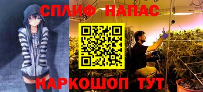 jwh Новозыбков
